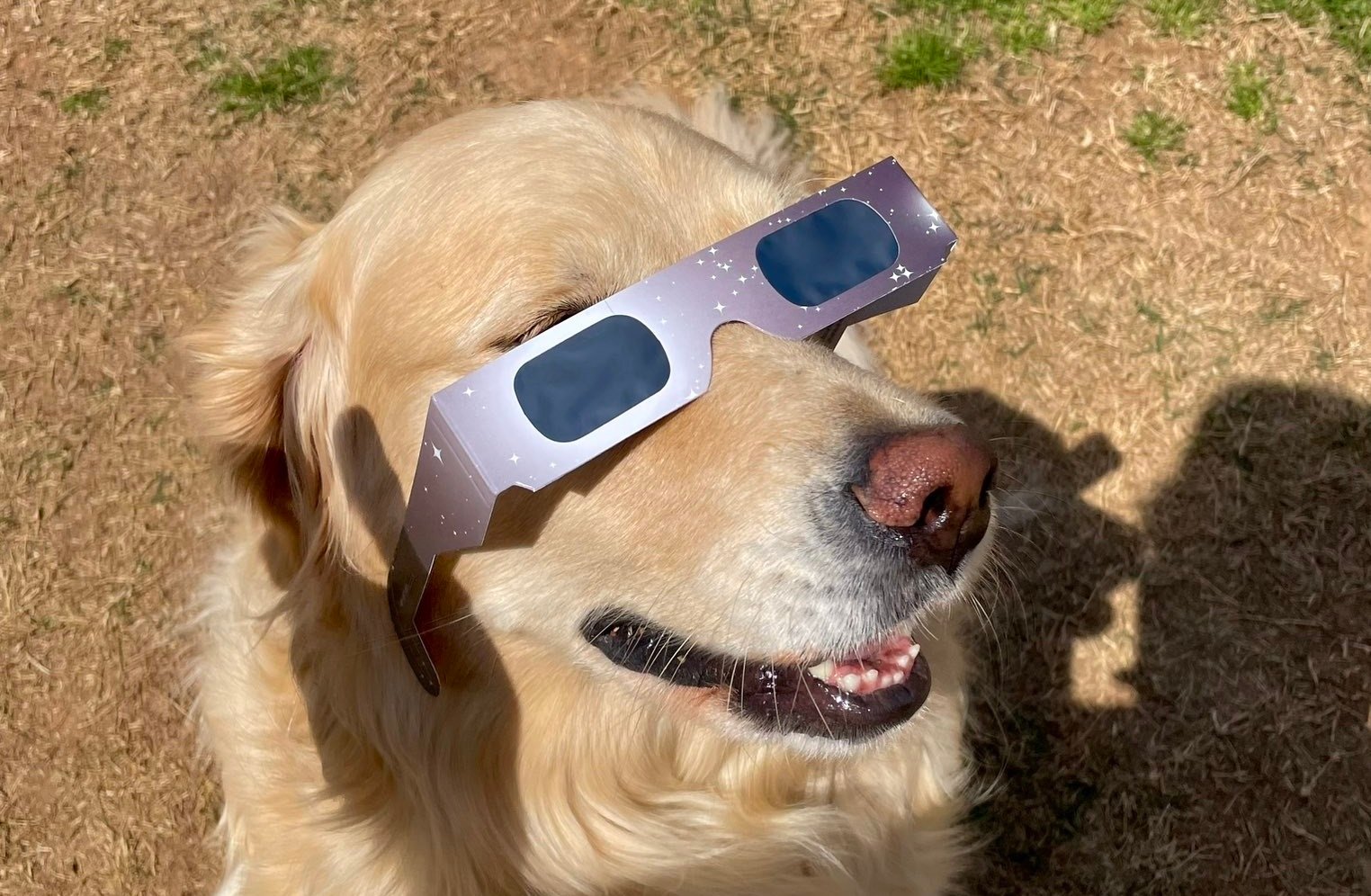 Experiencias únicas: El eclipse solar total de 2024 conquista corazones