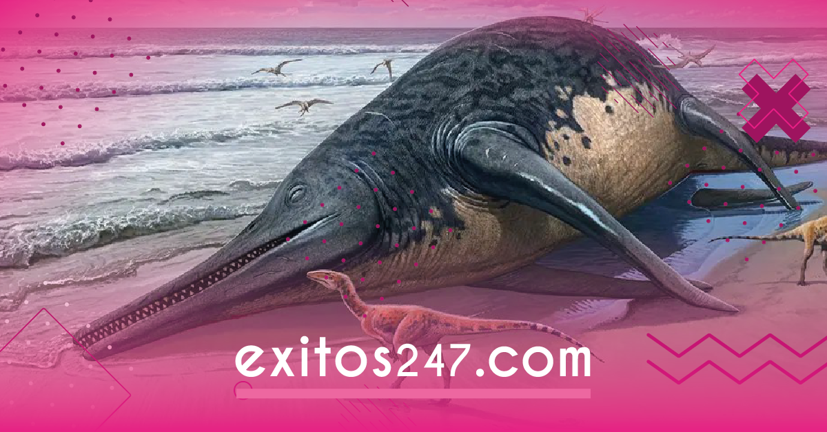 Misterio revelado: El ‘Monstruo’ prehistórico que dominó los océanos
